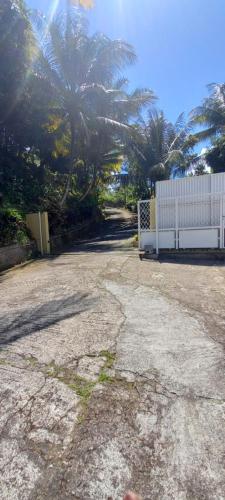 a driveway with a white fence and palm trees at Appartement Manou in Le Lamentin
