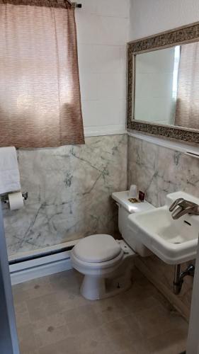 a bathroom with a toilet and a sink and a mirror at White Pine Motel in Ely