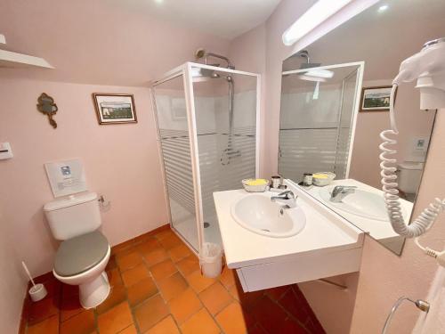 ein Bad mit einem WC, einem Waschbecken und einer Dusche in der Unterkunft Gîte Souvigny-de-Touraine, 2 pièces, 2 personnes - FR-1-381-455 in Souvigny-de-Touraine