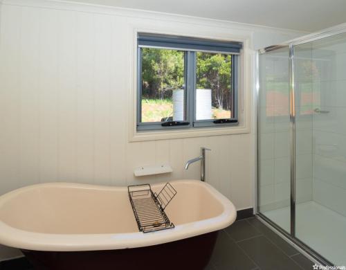 馬里斯維爾的住宿－Magpie Nest，带浴缸的浴室和窗户。