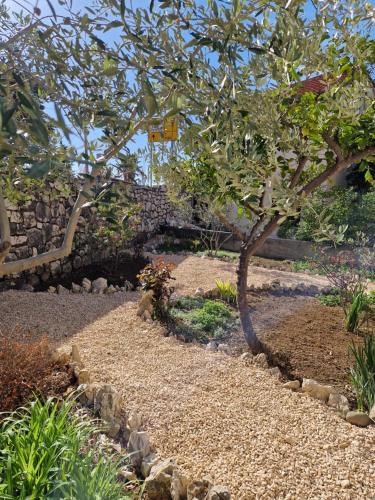 einen Garten mit einem Baum und einer Steinmauer in der Unterkunft Apartments Ribica in Rab