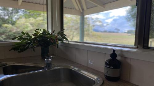 Billede fra billedgalleriet på Baringa Cottage i Mansfield