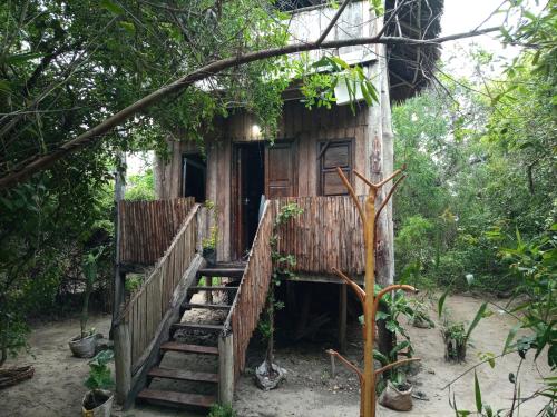einen Außenblick auf ein kleines Gebäude im Wald in der Unterkunft Mida Creek Eco Camp in Watamu
