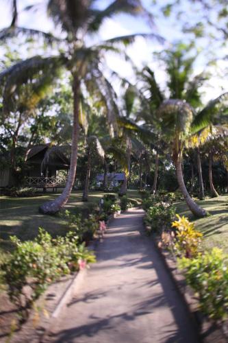a path lined with palm trees in a park at Aore Island Resort in Luganville