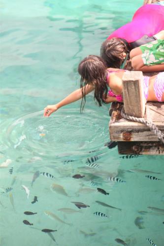 two children are looking at fish in the water at Aore Island Resort in Luganville