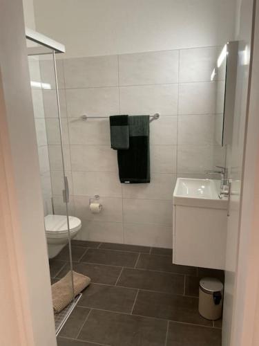 łazienka z toaletą i umywalką w obiekcie Studio in neuem EFH (2023) w mieście Elsau
