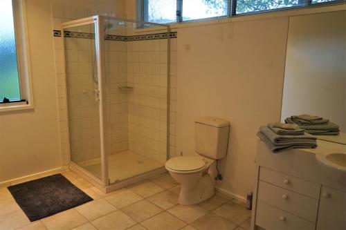 uma casa de banho com um chuveiro, um WC e um lavatório. em Merrimont Downs em Merrijig