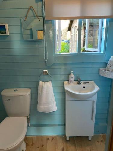 a blue bathroom with a toilet and a sink at The Chestnuts Pod with private garden. 