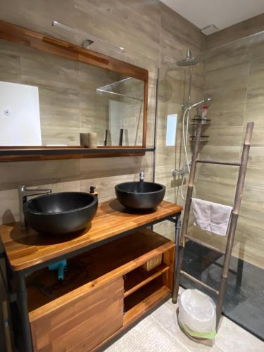 une salle de bain avec un lavabo et une douche en verre dans l'établissement Villa- Calme - Campagne - Bien être, à Saint-Grégoire
