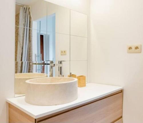 a bathroom with a sink and a large mirror at Family townhouse 3 bedrooms in Brussels