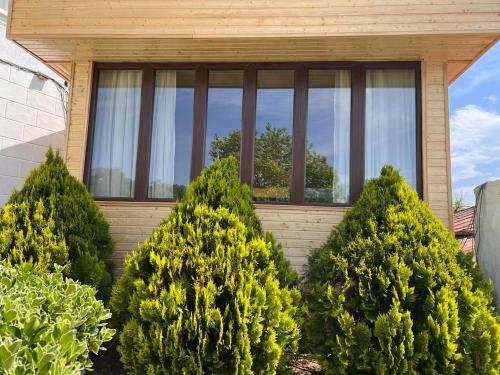 a house with a bunch of trees in front of it at Hotel Eurica in Kutaisi