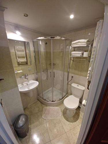 W łazience znajduje się prysznic, toaleta i umywalka. w obiekcie Leśna Radość w mieście Jastrząb