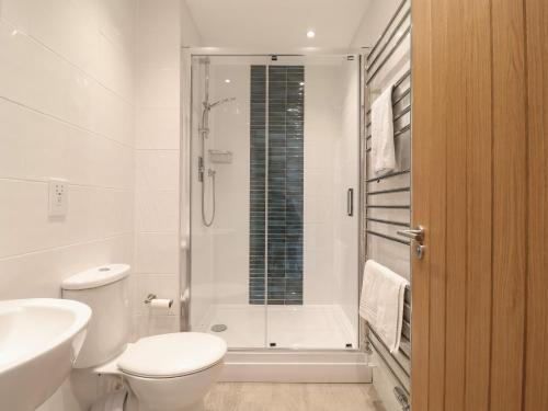 a bathroom with a shower and a toilet and a sink at Little Chapter in Southwold