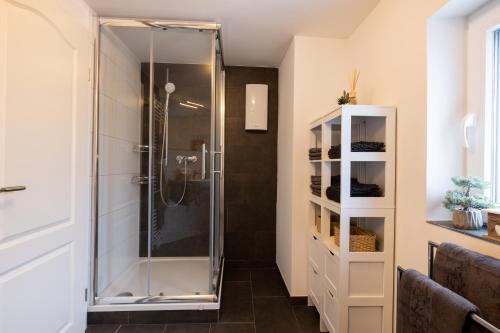 a bathroom with a shower with a glass door at Gut Magdalenenhof in Laufersweiler