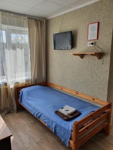 a bedroom with a bed with a tv on the wall at Apartament Erfolg 7 in Daugavpils