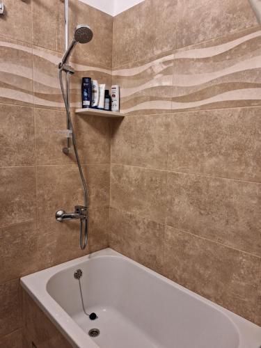 a bathroom with a tub and a shower with an american flag pattern at House by the sea in Mali Iž