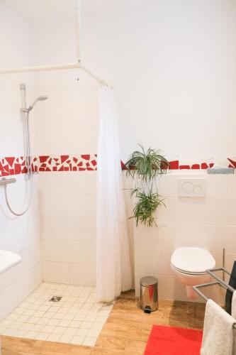 a bathroom with a shower and a toilet at Schloms Hof in Waffensen
