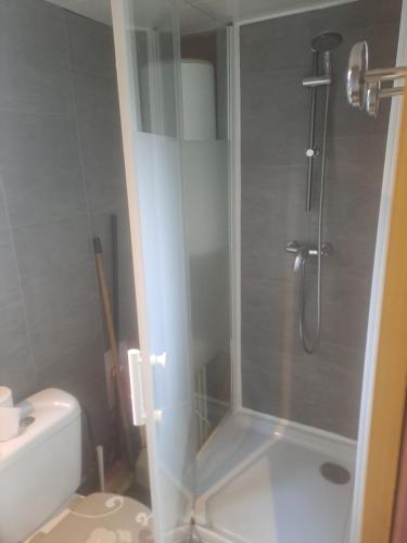 łazienka z prysznicem i białą toaletą w obiekcie Chalet pour 5 personnes équipé sur emplacement privatif dans camping 4 étoiles appartenant et géré par un particulier w mieście Foix