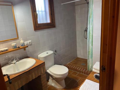 a bathroom with a toilet and a sink and a shower at Viviendas Rurales del Robledo in Castaño de Robledo