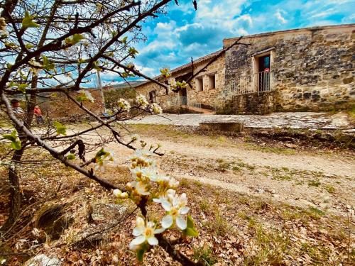 un vieux bâtiment en pierre avec des fleurs devant lui dans l'établissement L' ABBADIE, à Carniol