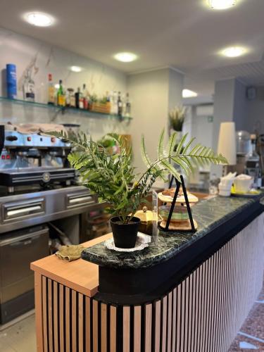 Cucina o angolo cottura di Hotel Capri