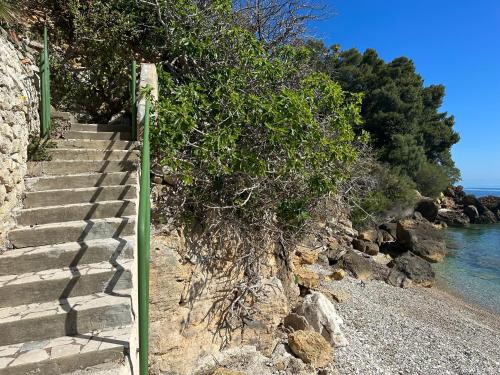 a tree on the side of a beach with stairs at Terrazza sul mare Scopello in Scopello