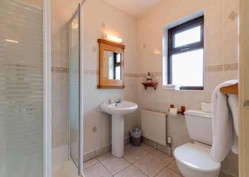 a bathroom with a toilet and a sink and a shower at Greenville B&B in Kenmare
