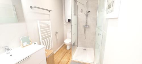 une salle de bain avec une douche, un lavabo et des toilettes dans l'établissement Royan appartement centre ville/mer, à Royan