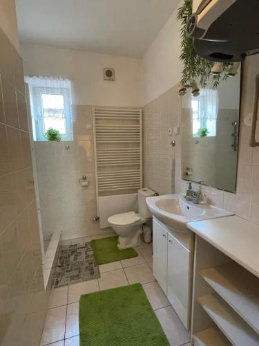 een badkamer met een toilet, een wastafel en een douche bij Ubytování u Medvěda in Rokytnice v Orlických Horách