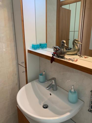 a bathroom sink with a mirror and two birds on a shelf at Zippity Doo Dah - Menaggio Home - Como Lake in Menaggio