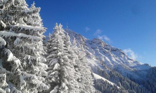 a group of snow covered trees in front of a mountain at Landhaus Almdorf in Sankt Johann in Tirol