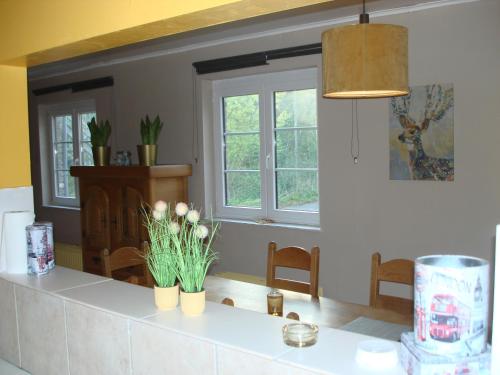 a kitchen with a counter with flowers on it at appartement Courcelles in Courcelles