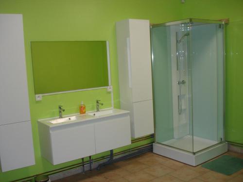 a green bathroom with a sink and a shower at appartement Courcelles in Courcelles