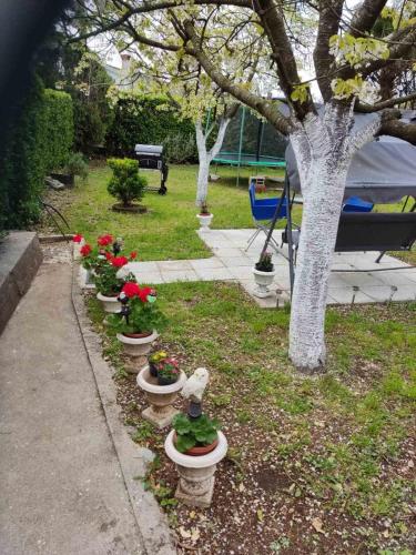 a row of pots of flowers in a garden at Apartman David-Dražice in Dražice