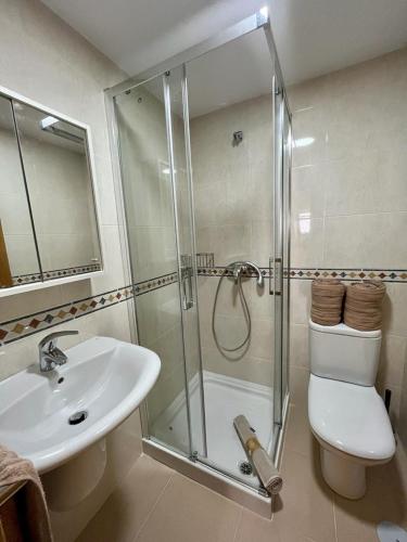 La salle de bains est pourvue d'une douche, de toilettes et d'un lavabo. dans l'établissement Centro de Miño - Pumariega, à Miño