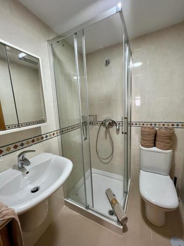 a bathroom with a shower and a toilet and a sink at Centro de Miño - Pumariega in Miño