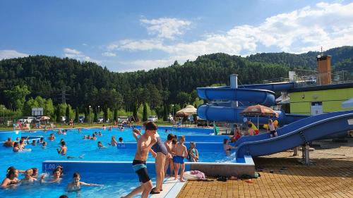 理特羅的住宿－Willa Lawenda- Przytulny Domek，一群人在游泳池里