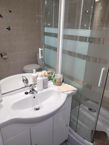 a bathroom with a white sink and a shower at Le Brissoneau Rendeux in Rendeux