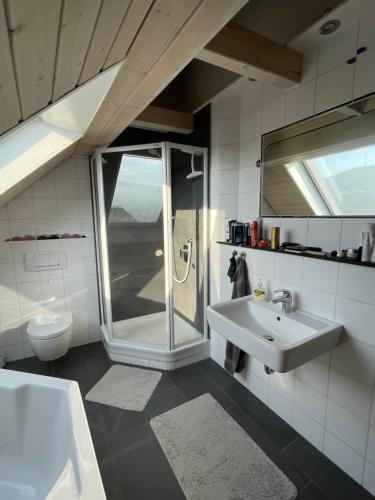 a bathroom with a sink and a shower and a toilet at Sonniges Ferienapartment am Alten Binauer Schloss in Binau