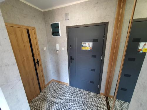 カリシュにあるJDK Apartamenty Legionów 32m2 4-osobowyの青い扉と鏡のある廊下