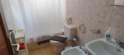 La salle de bains est pourvue de toilettes, d'un lavabo et d'une douche. dans l'établissement LAGO AZUL 45, à Breña Baja