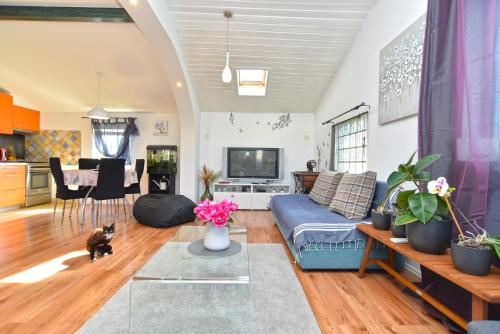 Apartment Sasa 1113