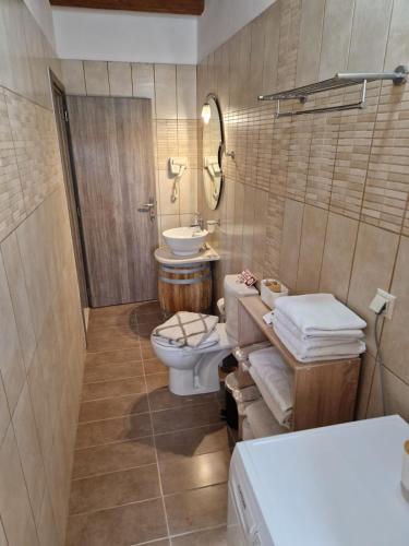 a bathroom with a toilet and a sink at Villa Gamma Kreta in Kamilari