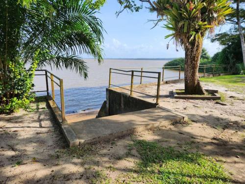 a staircase leading to the beach with a tree and water at Hello-Guyane, Marina 4, Studio Prestige 5 étoiles in Saint-Laurent du Maroni