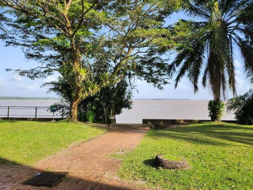 a path next to the water with a palm tree at Hello-Guyane, Marina 4, Studio Prestige 5 étoiles in Saint-Laurent du Maroni