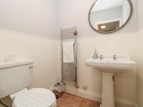a bathroom with a toilet and a sink and a mirror at Whiteadder Bank in Berwick-Upon-Tweed