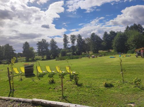 a group of yellow chairs in a field at Woodorf drewnem usłane - domki z bala nad rzeką Słupią wśród pól i lasów z chatą grillową, ogniskiem i placami zabaw dla dzieci -Royal Red House z jacuzzi i ogrodzonym extra ogródkiem dla piesków, Royal Green House - bez jacuzzi in Ustka