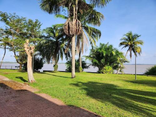 a park with palm trees and the water at Hello-Guyane, Marina 5, Studio Prestige 5 étoiles in Saint-Laurent du Maroni