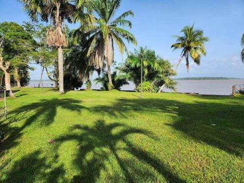 a shadow of palm trees on the grass near the water at Hello-Guyane, Marina 6, Suite Prestige 5 étoiles in Saint-Laurent du Maroni