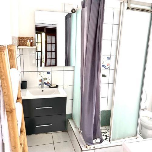 a bathroom with a sink and a toilet and a mirror at Le Domaine de Jade in Saint-François